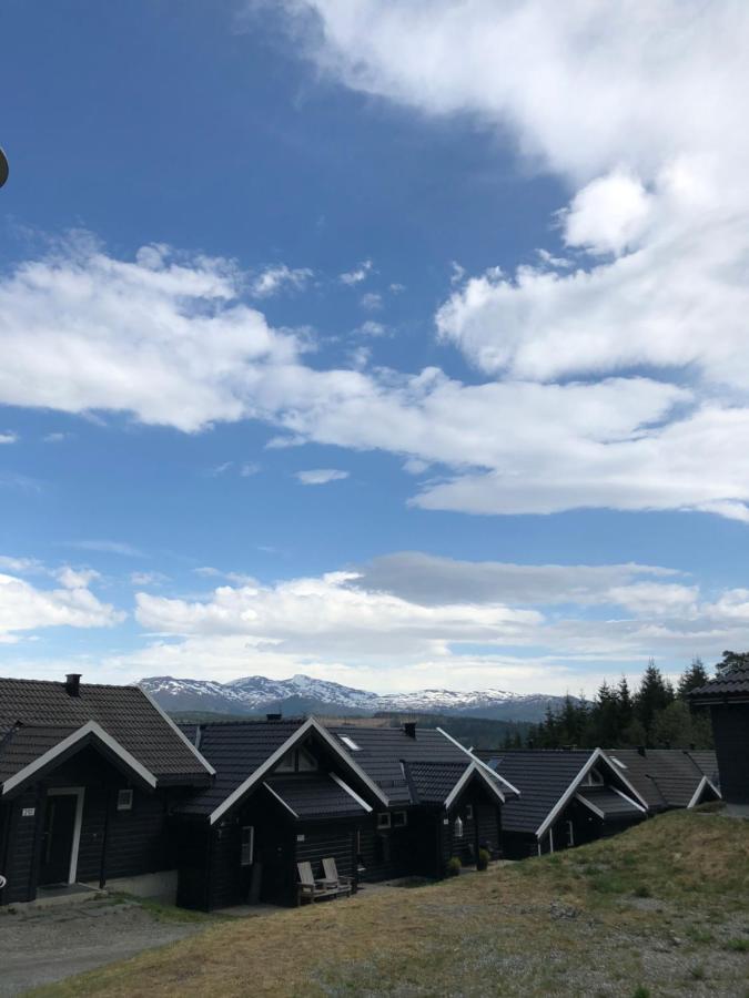 Voss Hytte/cabin Skulestadmo
