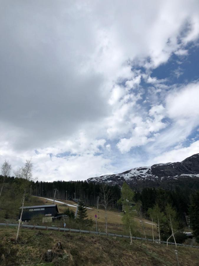 Voss Hytte/cabin Skulestadmo