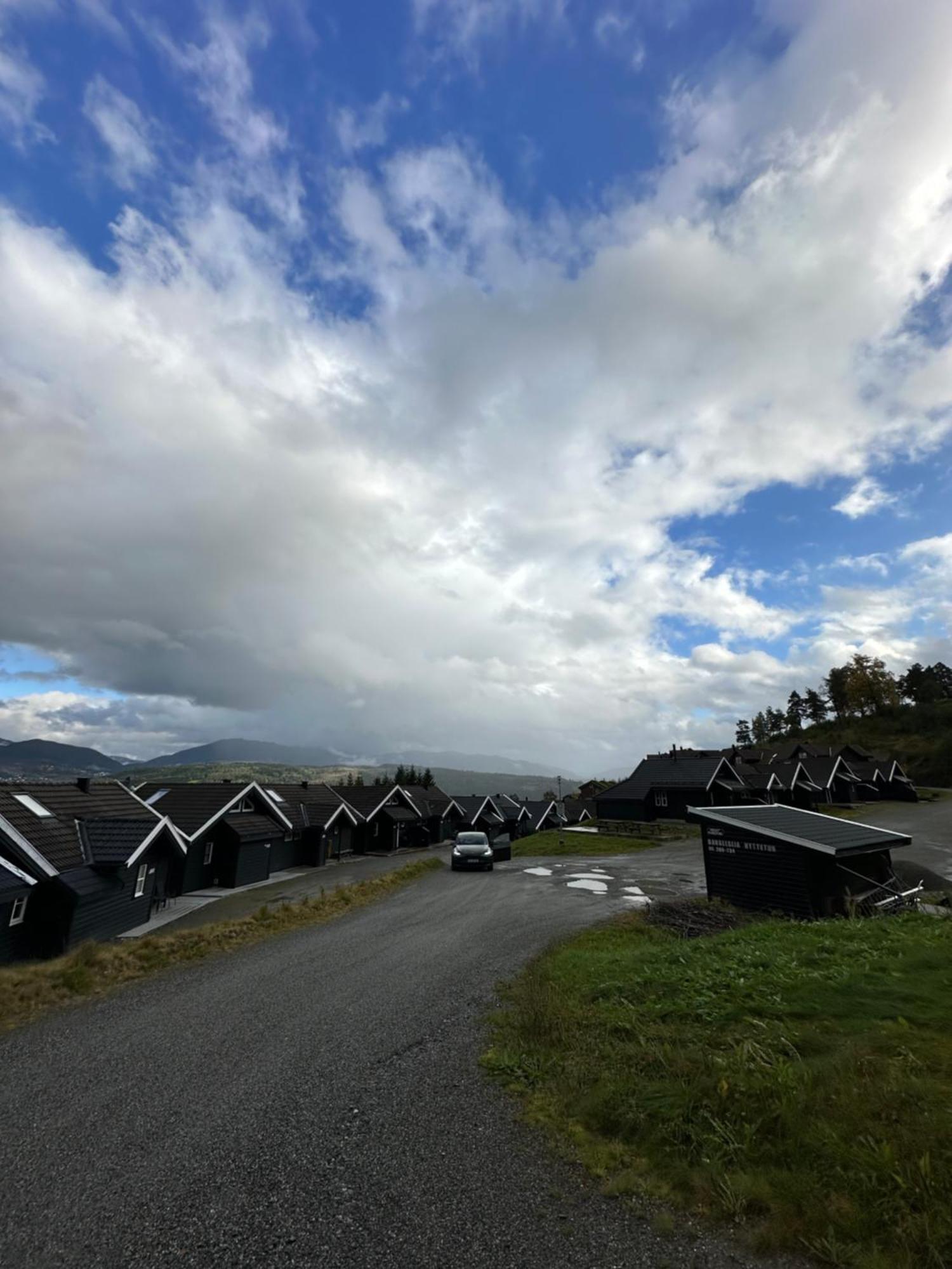Voss Hytte/cabin Skulestadmo