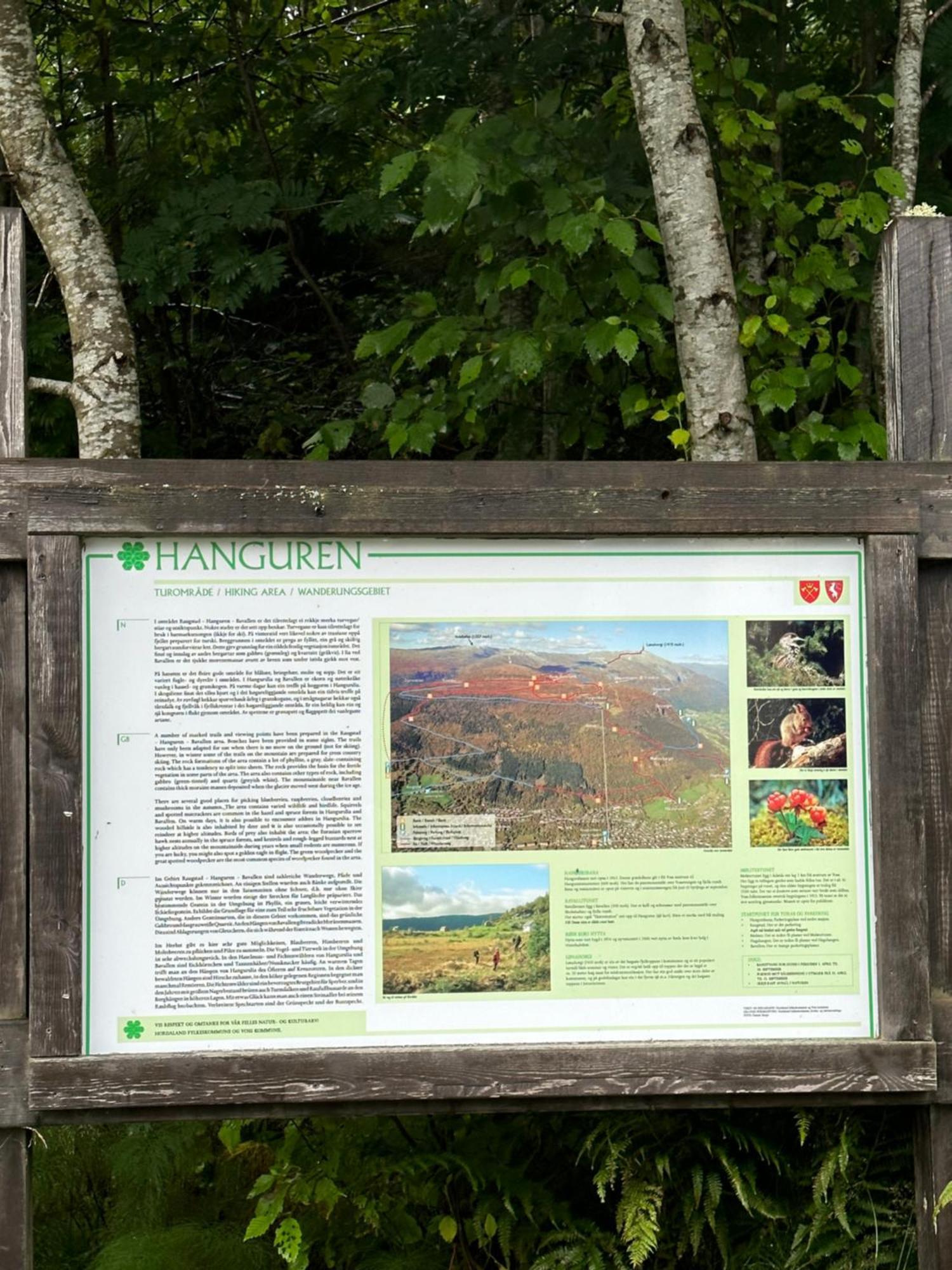 Voss Hytte/cabin Skulestadmo
